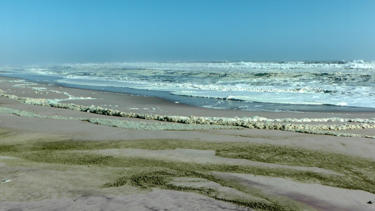 W&uuml;ste trifft auf Atlantik